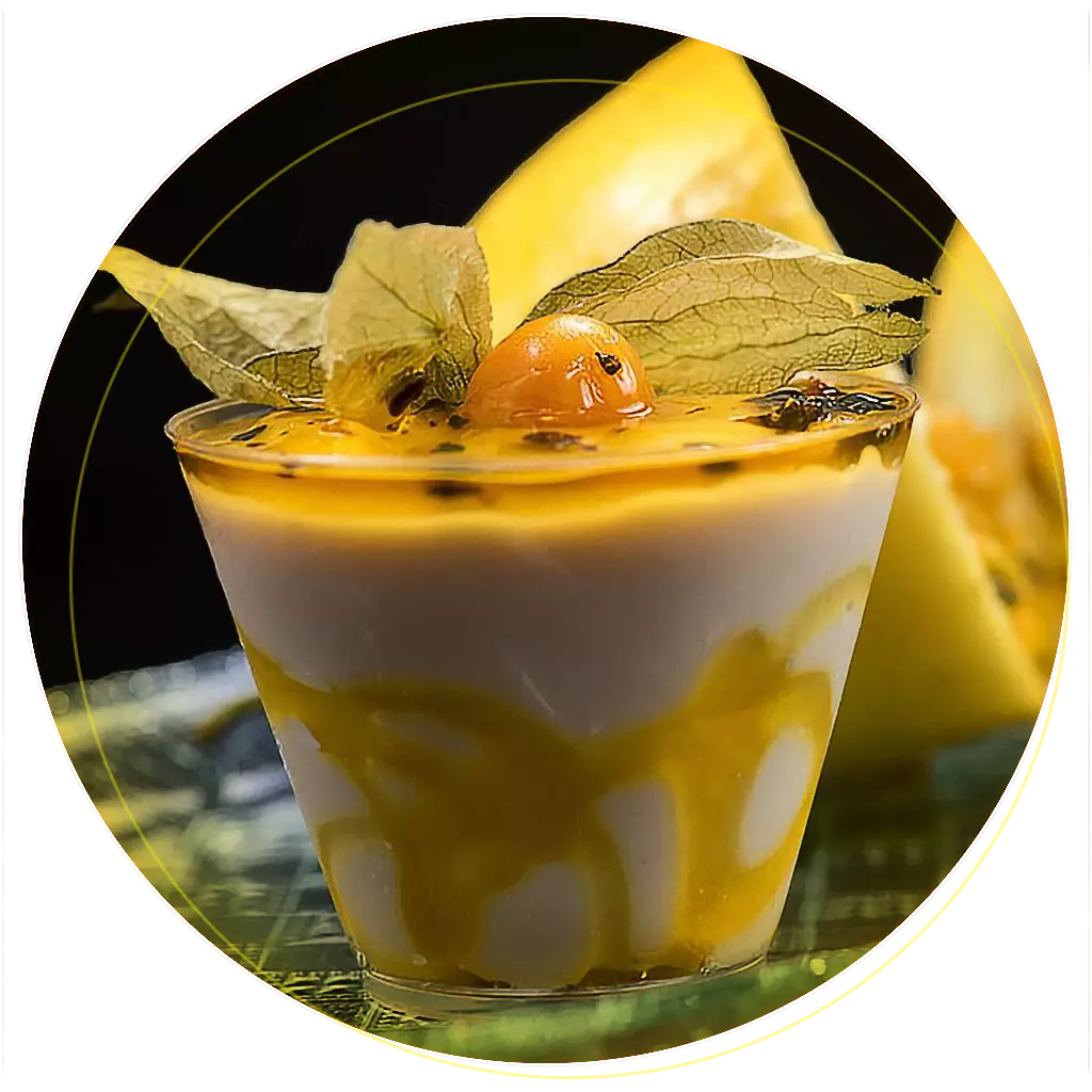 Curso de Iogurte Gourmet — a Arte dos Sabores — imagem 6
